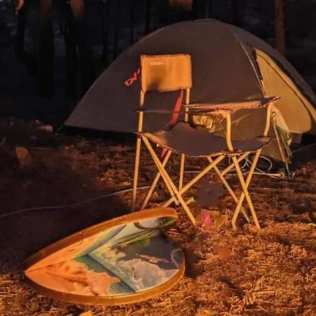 فندق Orion'S Wild Camp دانا المظهر الخارجي الصورة