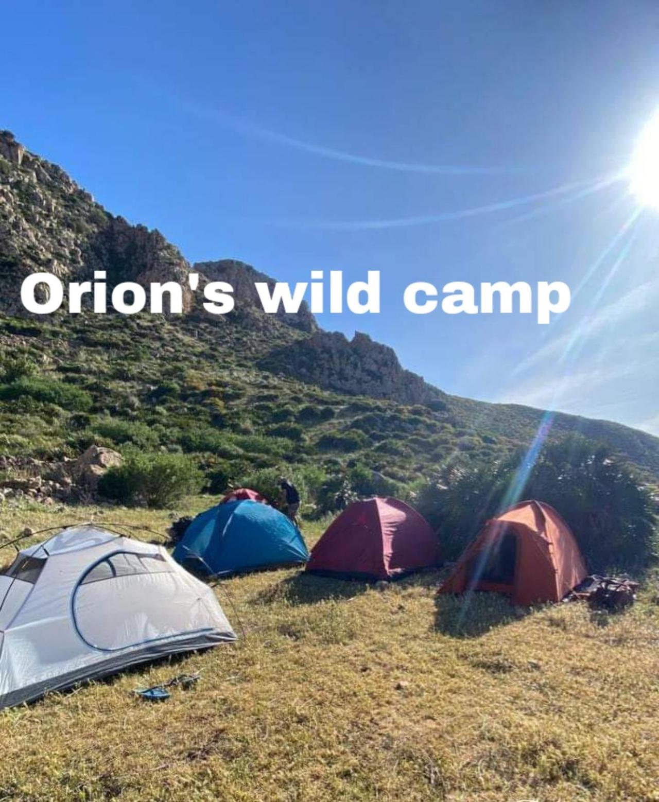 فندق Orion'S Wild Camp دانا المظهر الخارجي الصورة